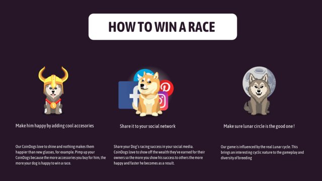 How to win a race.jpg