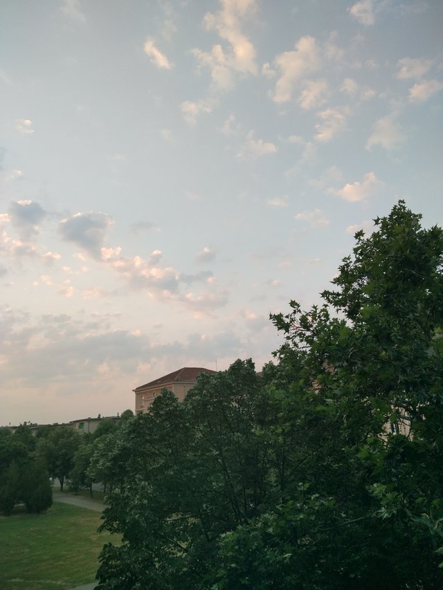IMG_20250620_060317_HDR.jpg