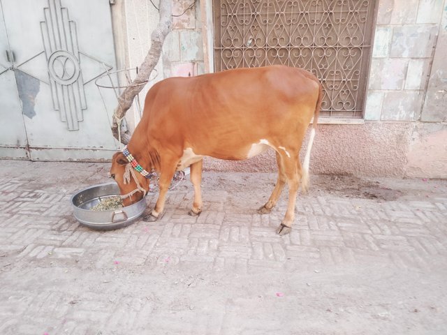 IMG20250605160236.jpg