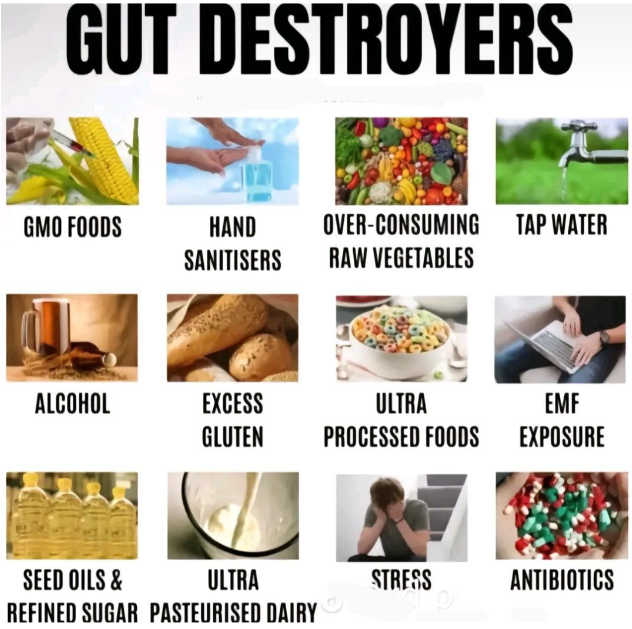 gut destroyers.png