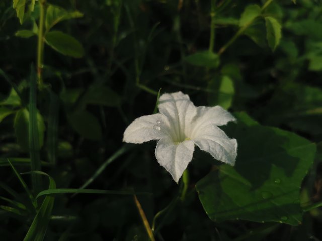 IMG_20230810_075137.jpg