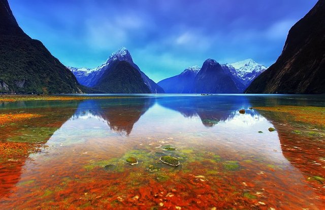 new-zealand-south-island-fiordland-national-park.jpg