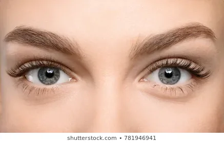 beautiful-female-eyes-long-eyelashes-260nw-781946941.webp