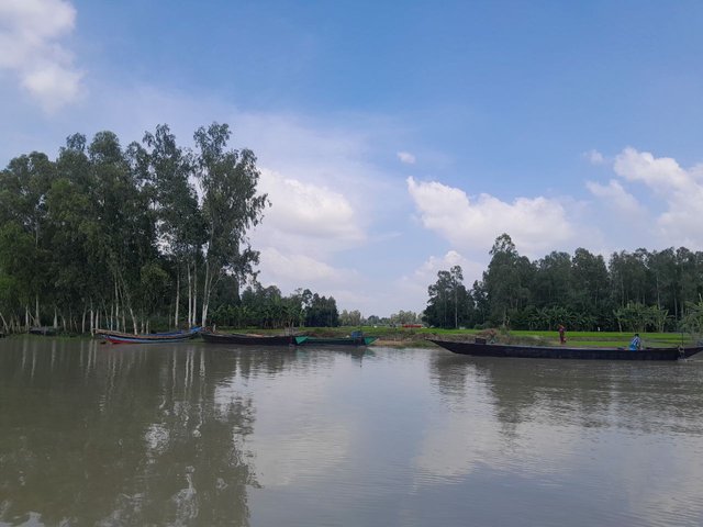 1000080422.jpg