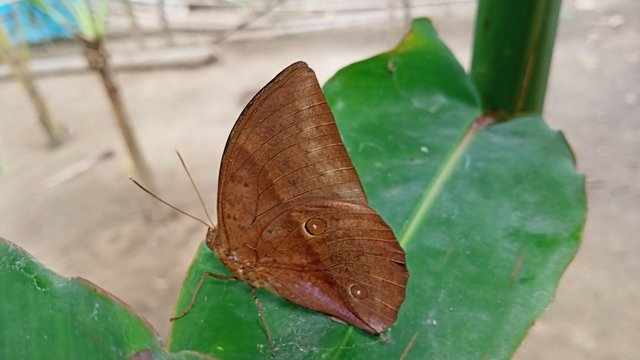 IMG20250520151948.jpg