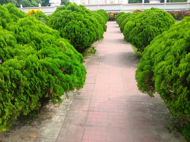 1000038630.jpg