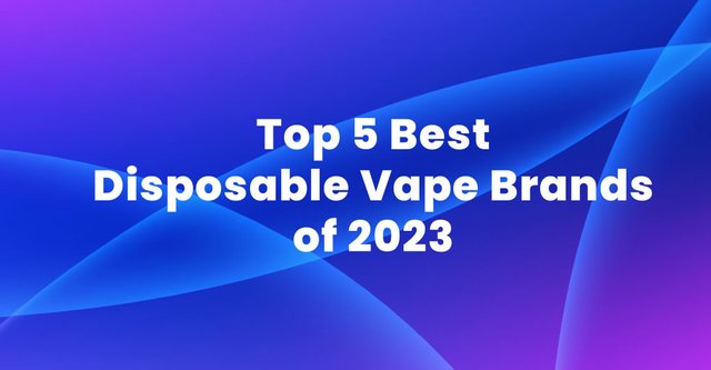 Top 5 Best Disposable Vape Brands of 2023.jpg