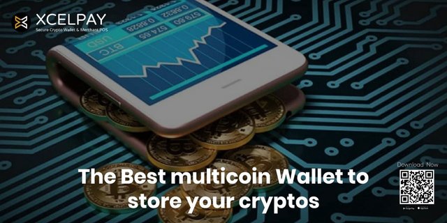 The Best multi-coin Wallet.jpeg