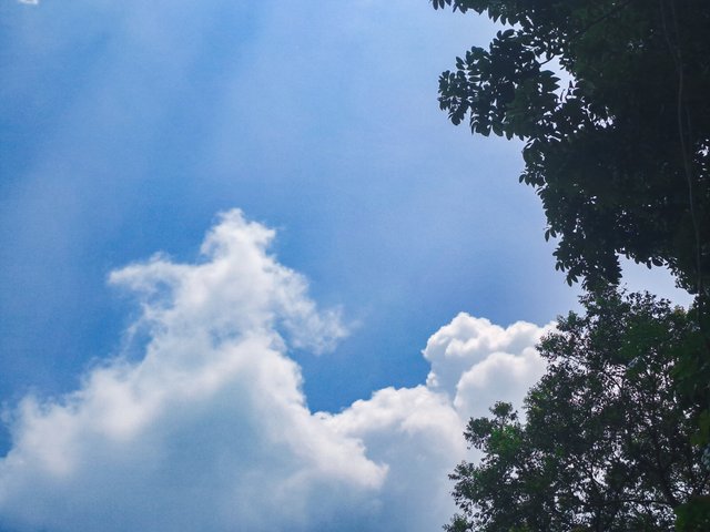 20250503_124348.jpg