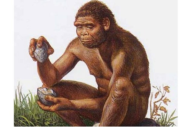 Illustration-of-the-species-Homo-habilis-.jpg