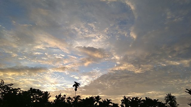 PANO_20210712_183904.jpg