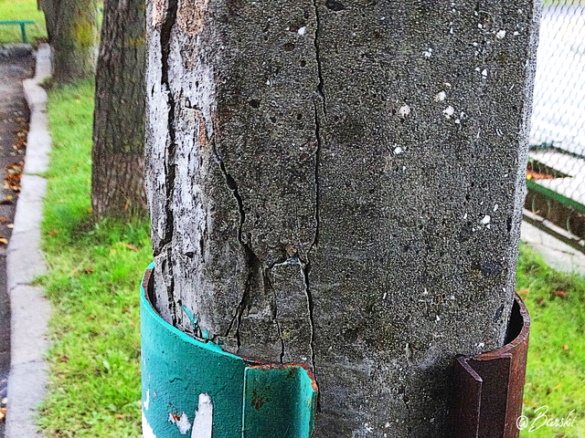 1sbDSC09012.png