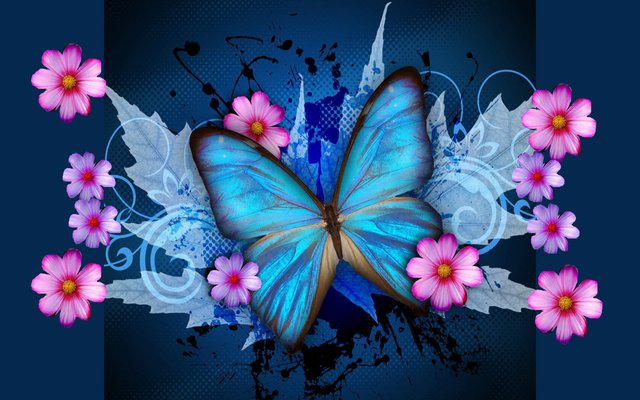 blue-butterfly-galaxy_1073411.jpg