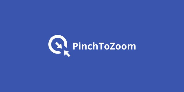 LOGO DESIGN_PinchToZoom_THUMBNAIL.jpg