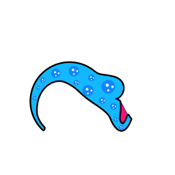downbody_bluebubble.png