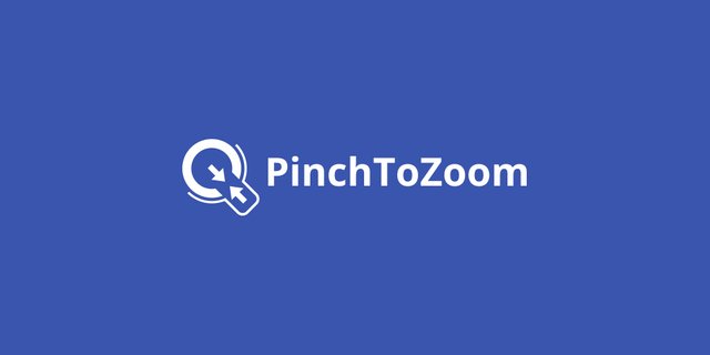 LOGO DESIGN_PinchToZoom_THUMBNAIL_STYLE 2.jpg