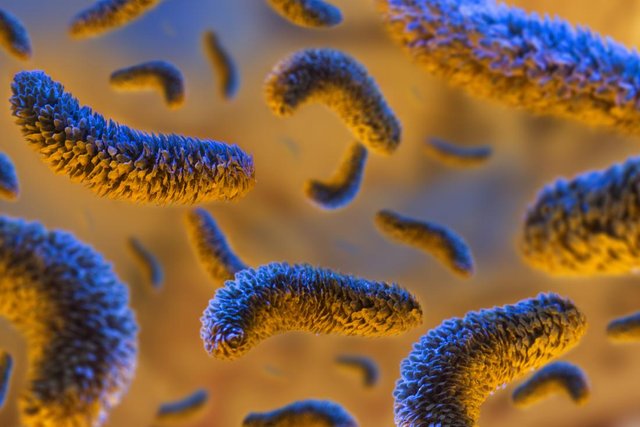 bacteria on orange background