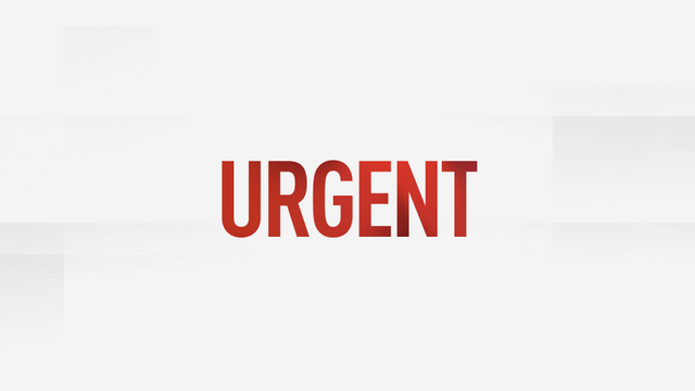 STEEM POSTS