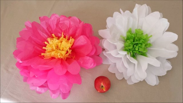 how to make giant tissue paper flowers