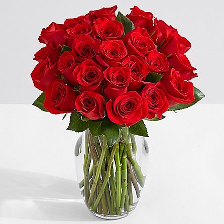 Save 25% On Two Dozen Red Roses - $24.99 USD