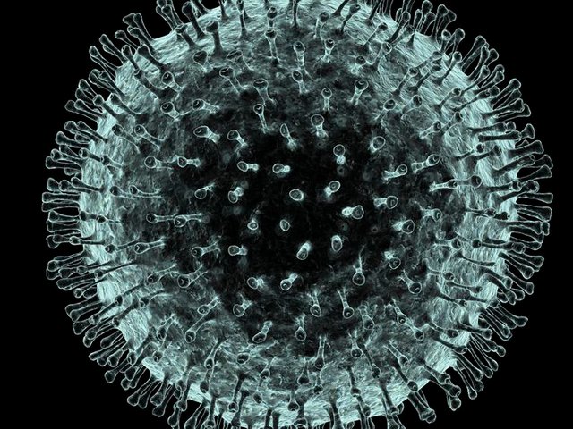STEEM POSTS