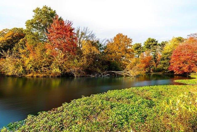 foliage autumn season Verona Park in New Jersey near montclair photography art