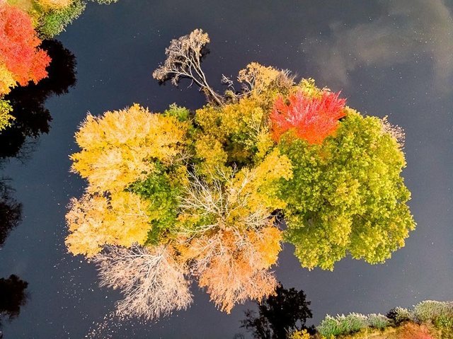 verona park in the autumn fall season drone Montclair professional photographer art