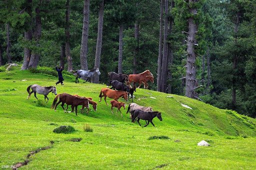 Here Are Some Of The Most Beautiful Places You Can Visit 'Bagh' Azad Kashmir