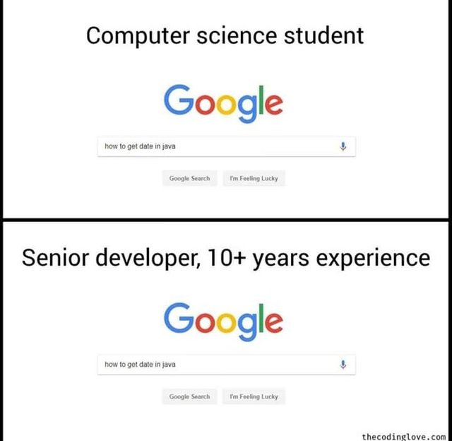 Computer Science Student VS Senior Developer