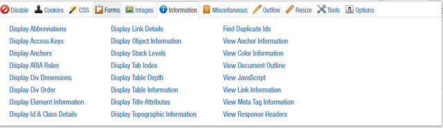 Information Tab from the Web Developer Extension