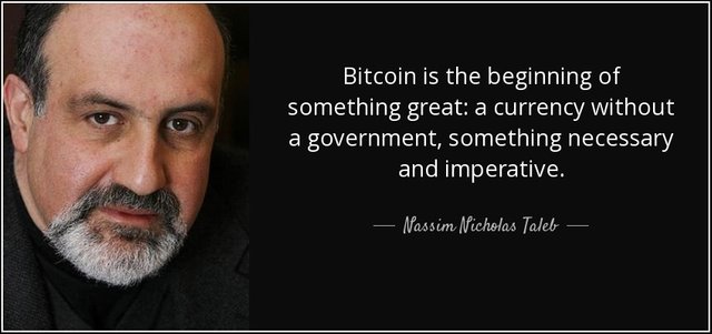 Nassim Nicholas on Bitcoin