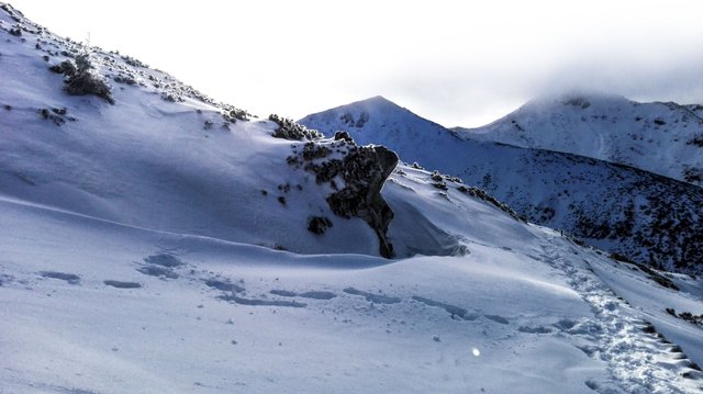   In subalpine area, verything seems to be frozen. Photo by Alis Monte [CC BY-SA 4.0], via Connecting the Dots