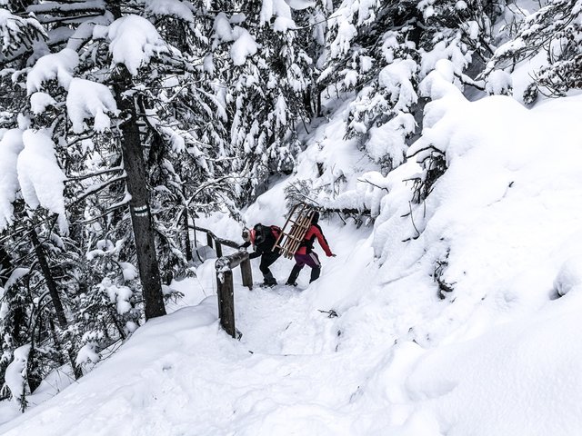   Not this time. These people have failed to reach skiing track on Nosal mountain and the hiking route was too narrow to use their sledges. Photo by Alis Monte [CC BY-SA 4.0], via Connecting the Dots
