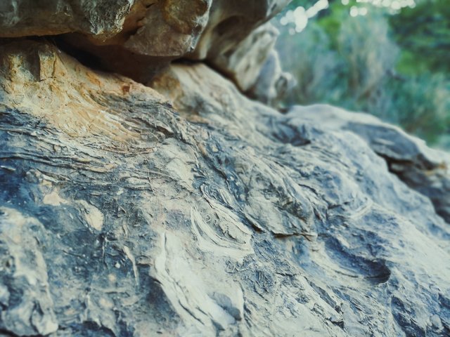   Fossils found on Camino del Faro. Photo by Alis Monte [CC BY-SA 4.0], via Connecting the Dots