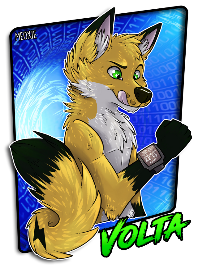 Badge - Volta Furron