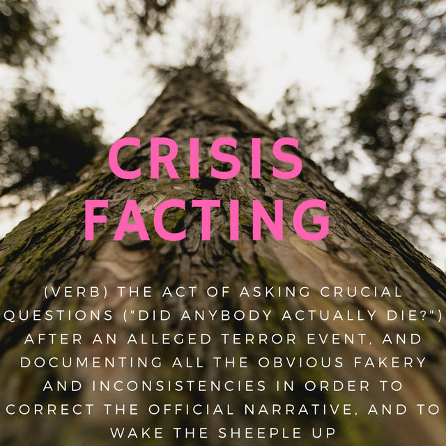crisis-facting.png
