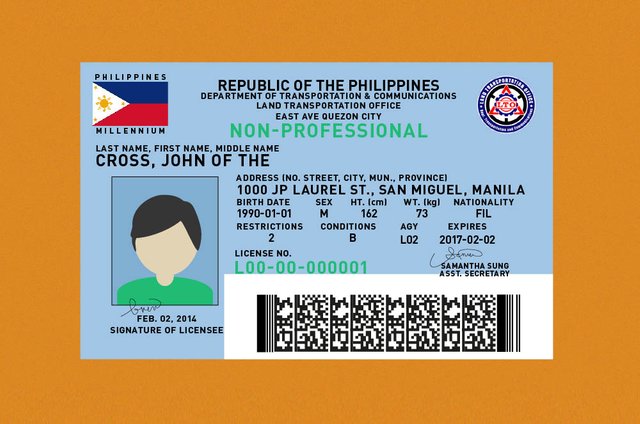 Image of Non-Pro Driver's License from autodeal