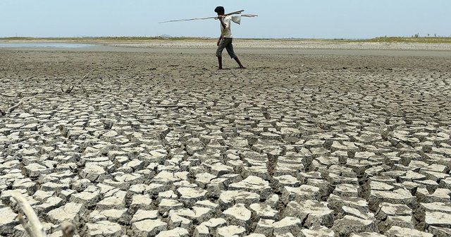 Drought is a Condition That Results When the Average Rainfall Falls Below Normal Levels: Nguyên Nhân và Giải Pháp