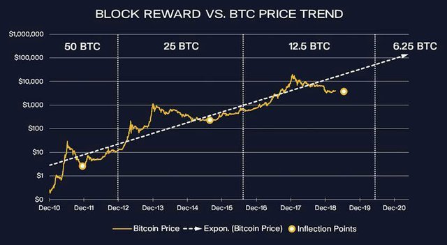 Bitcoin Halving Graphic - Samehadaku.Jet