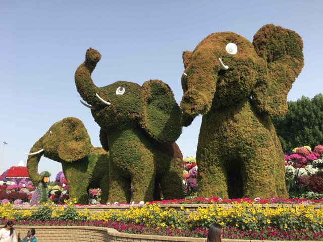 https://d1vof77qrk4l5q.cloudfront.net/img/agolasol-miracle-garden-dubai-uae-aeykk6dy-1549006908219.jpg