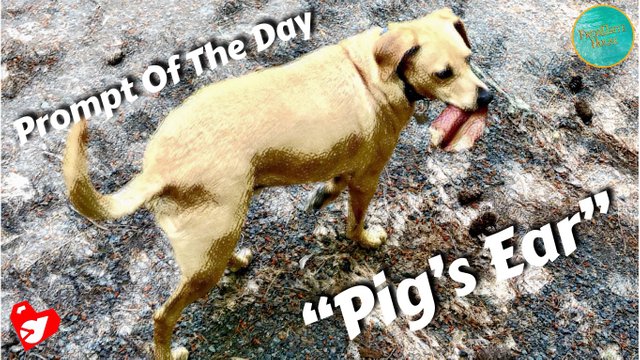 https://d1vof77qrk4l5q.cloudfront.net/img/d00k13-prompt-of-the-day-pigs-ear-it-smells-so-freaking-good-fjmdsy1m-1549866583219.jpg