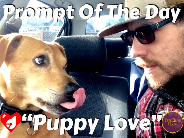 https://d1vof77qrk4l5q.cloudfront.net/img/d00k13-prompt-of-the-day-puppy-love-pure-like-a-dove-3zuqiuza-1548050807212.jpg