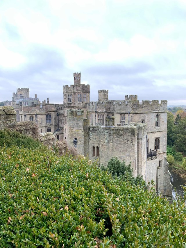 https://d1vof77qrk4l5q.cloudfront.net/img/dannyalder88-warwick-castle-damn-flu-ekw3wifo-1547144309883.jpg