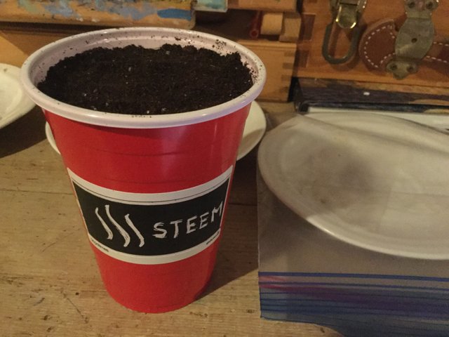 https://d1vof77qrk4l5q.cloudfront.net/img/offgridlife-cannacurate-steemit-solo-cup-challenge-la5rvnpe-1546219218191.jpg
