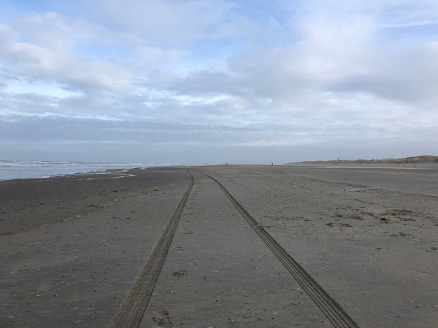 https://d1vof77qrk4l5q.cloudfront.net/img/travelmedia-texel-beach-oftue9xv-1548517041843.jpg