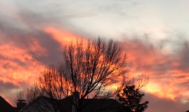 https://d1vof77qrk4l5q.cloudfront.net/img/violetmed-sunset-with-treetuesday-ewuitz87-1549407236172.jpg
