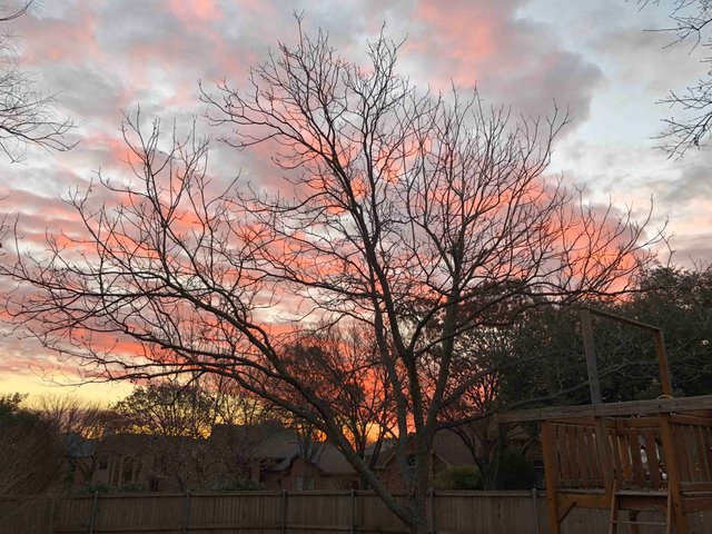 https://d1vof77qrk4l5q.cloudfront.net/img/violetmed-winter-sunrise-5bhpcqop-1547248931236.jpg