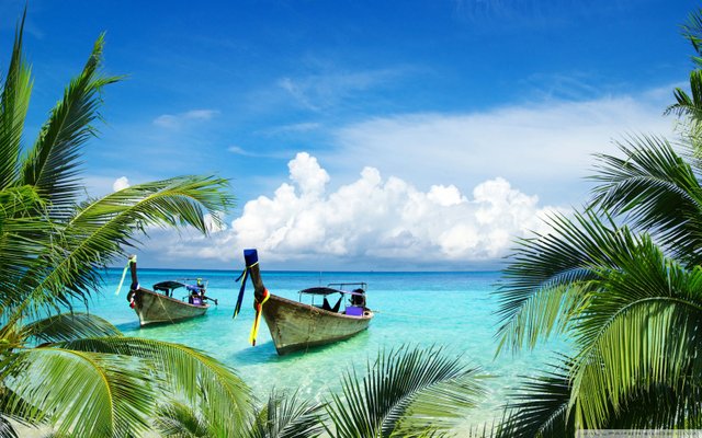 long_tail_boats_tropical_beach_palm_trees_leaves-wallpaper-1680x1050.jpg