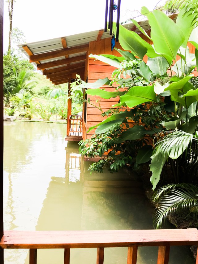 Airbnb Review in La Fortuna, Costa Rica — Steemit