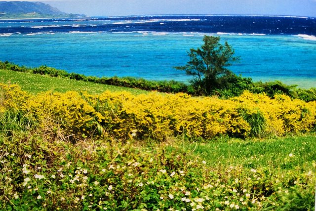 Seaside on the Spring